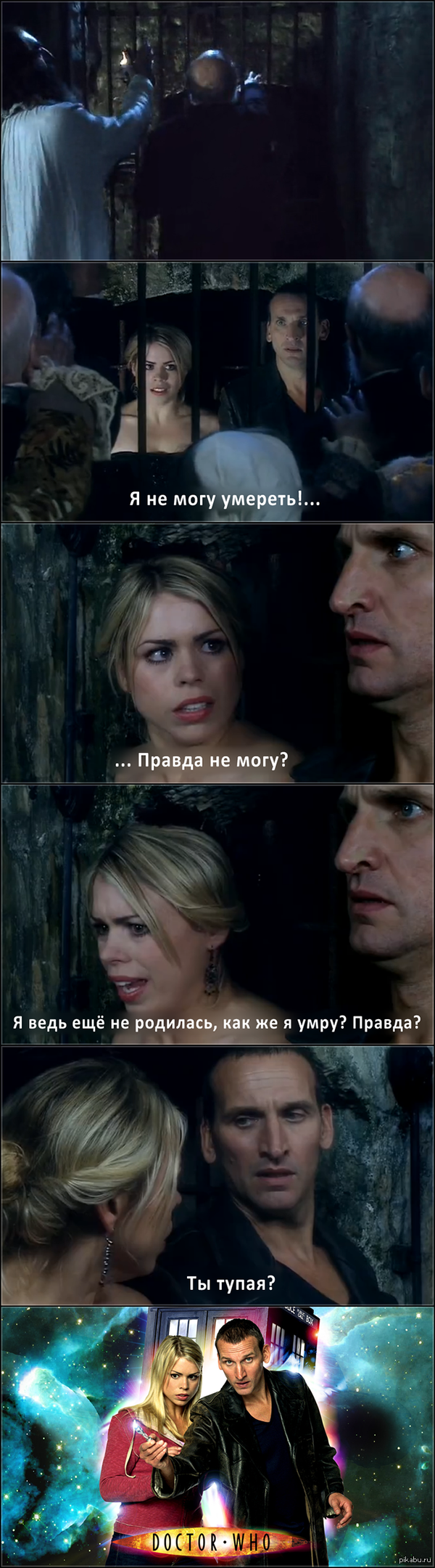 -Who? Who? - Who are you f*cking owl?