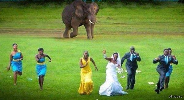 ����� ��������� ������� �� �������