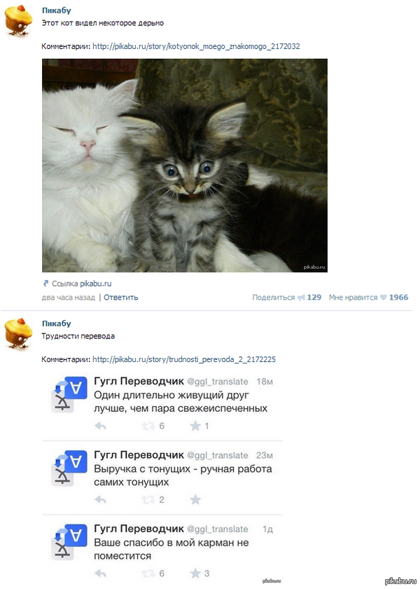 ����-���� �������