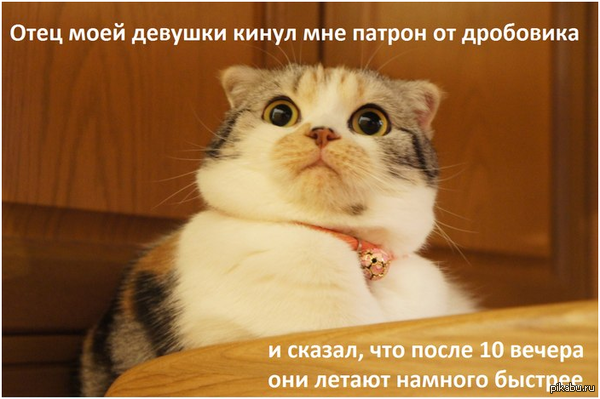 Не буду шутить с ее отцом