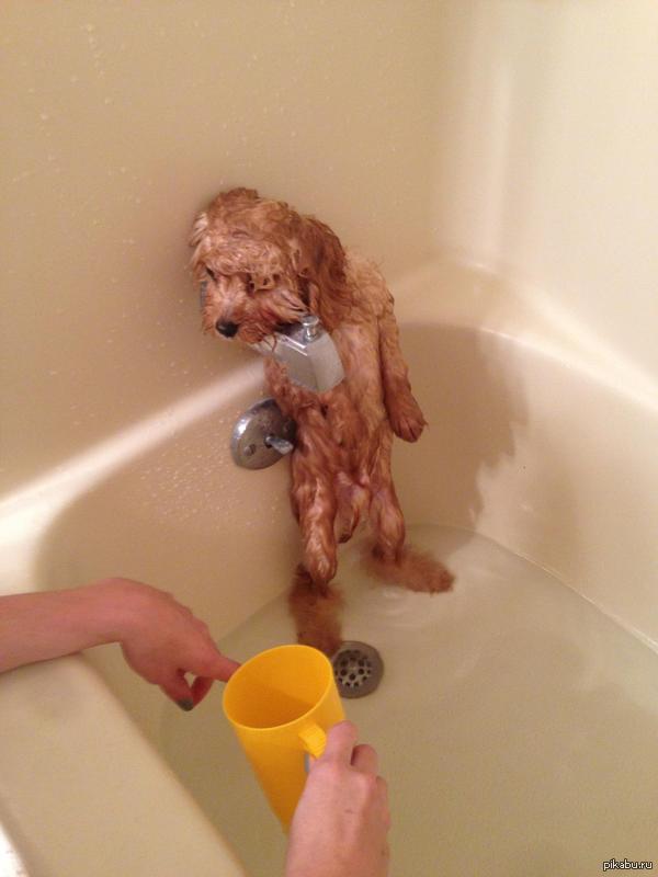 Загнали в угол