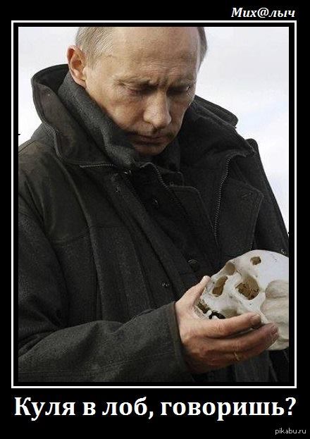 В чём выгоды от истерии запугивания Путиным...? 