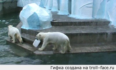 Мужик, у тебя канистра есть? -Нету, -На мужик канистру Продолжая тему щедрых белых медведей! <a href="http://pikabu.ru/story/muzhik_u_tebya_sinyaya_kryishka_est_netu_na_muzhik_sinyuyu_kryishku_2173544">http://pikabu.ru/story/_2173544</a>