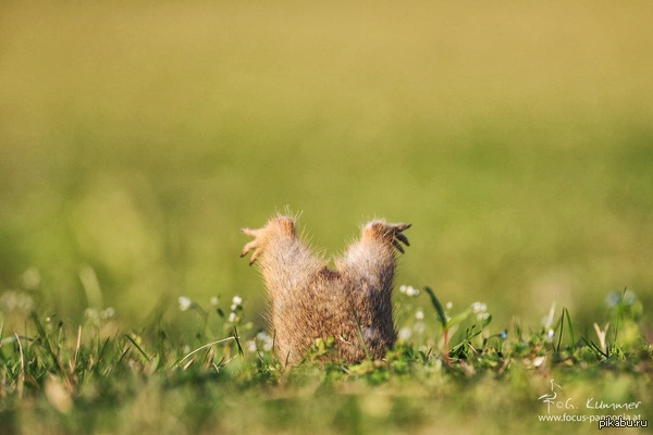 ������ ������� �����!