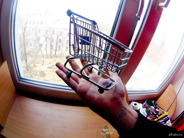 ������ ���� ���������