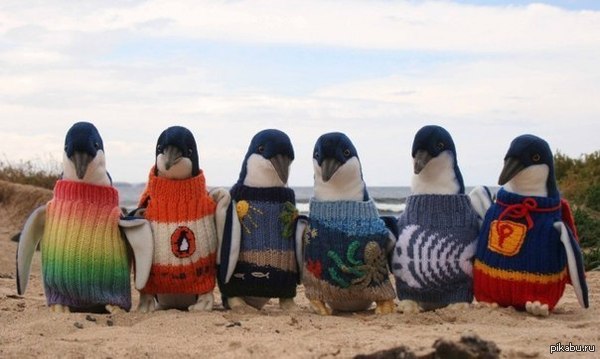 ��������, ������� ������ � ������ �����, �� ����� ��������� ���� ���� -