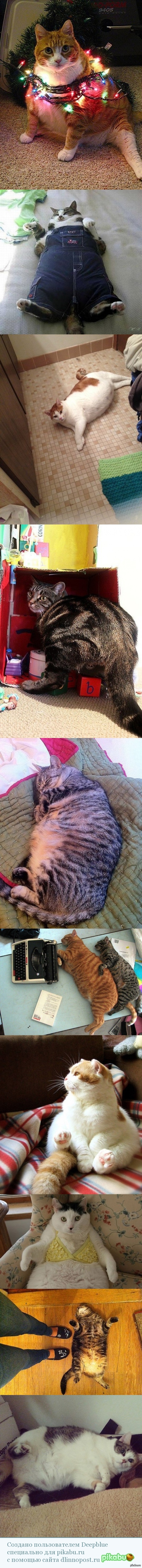 �������� ������������