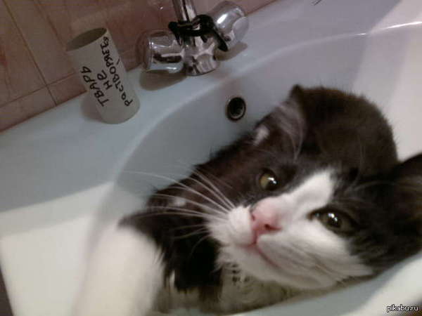 ����� � ����������� ����� ����� �� ����.