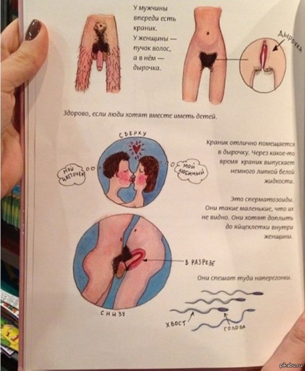 Randomly stumbled upon a children's magazine... - Conception, Sex, NSFW, Manual