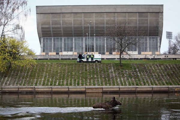 ������ ���������, ������ ���� ��� ������ �������