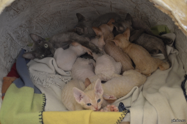 ���� �������!