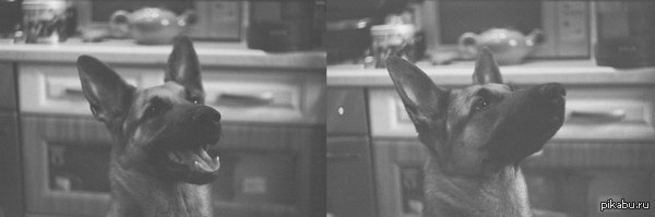 ��� ������