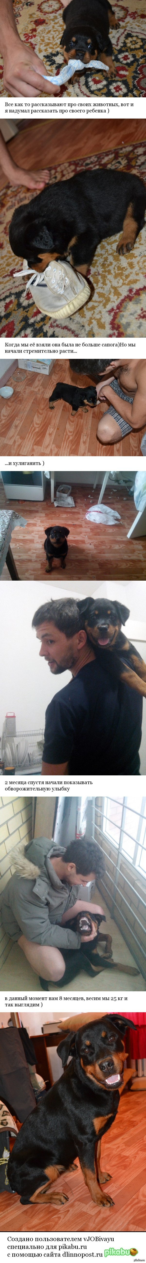 ���� �������� )