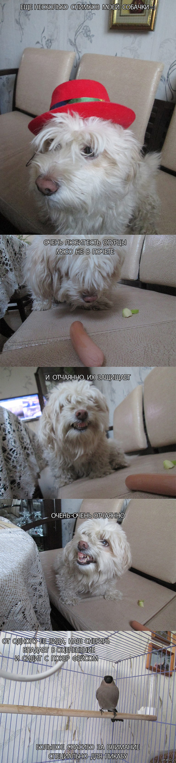 ��� ��������� ������� ���� ���������� ������)