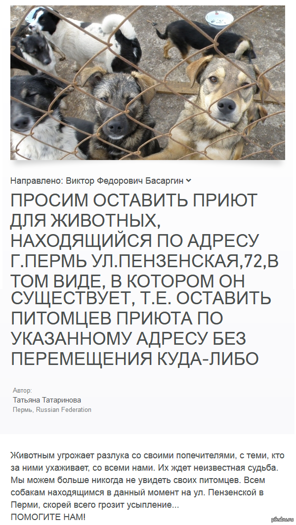 Pikabushniks, let's help the animals. - Help, Петиция, Animals, Animal shelter