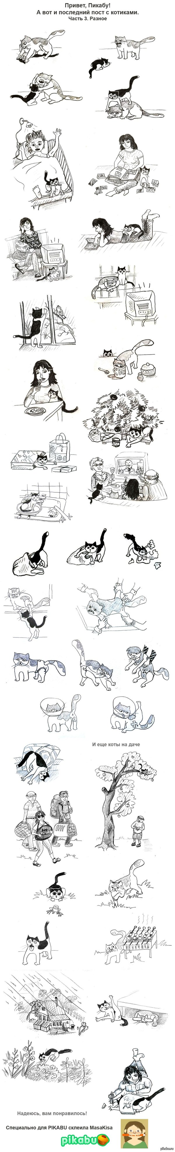 Кошачьи зарисовки 3