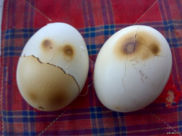 ����� ����, ��������� �� ������.