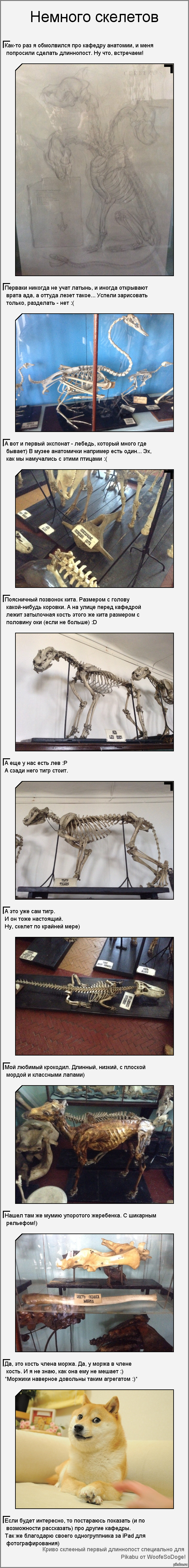 ��� ��� ��� ����� �������� � ������