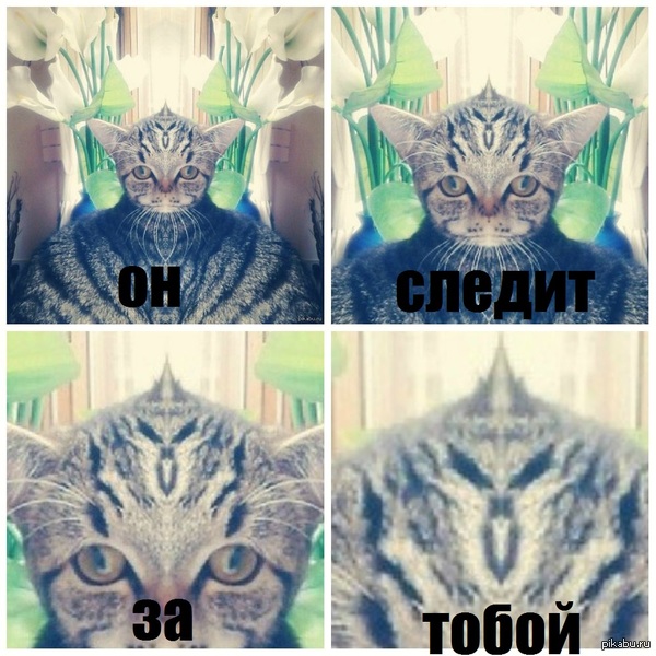 ���� ������� ����� ���� �� ������� ����....