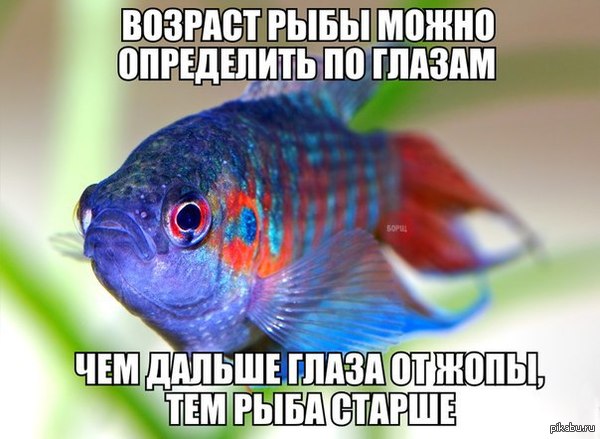 � ��� � ��������� � ��� �� ������ ������������ ����� ����� ����...