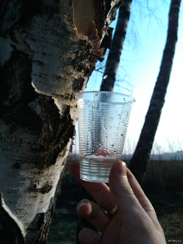 � ���� ����...