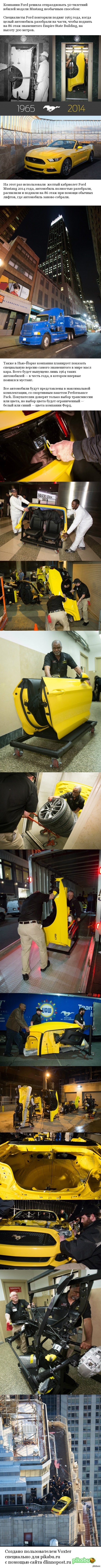 Ford Mustang ������� 50-����� �� 86 ����� Empire State Building