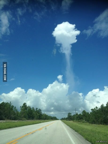 ������ ��������� �������� �����