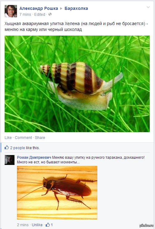 Но бывают моменты...