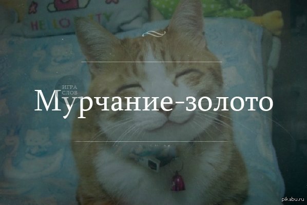 � �� ���������...