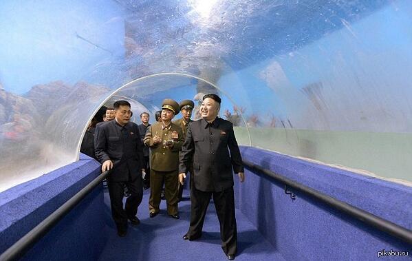 Самый няшный диктатор