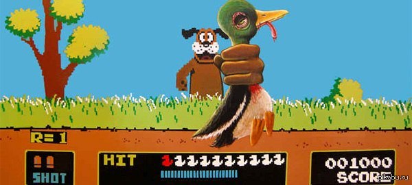   :   30   Duck Hunt. 