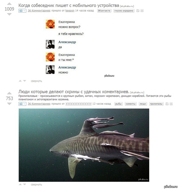 ��� ��� ����������