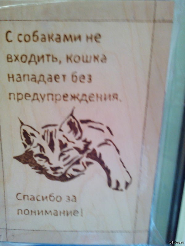 ���� ����;)