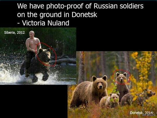 Представлены убедительные доказательства присутствия российских войск на юго-востоке Украины