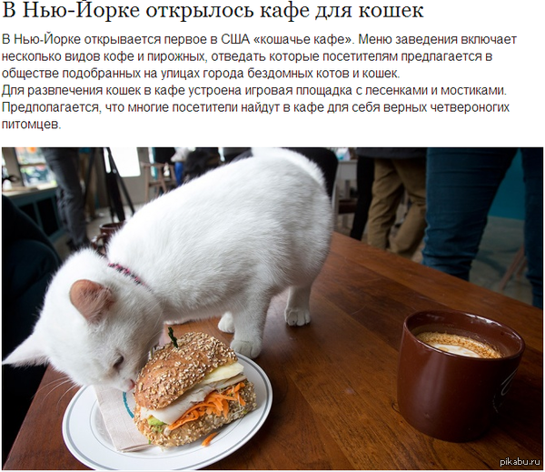 ���� ��� �����