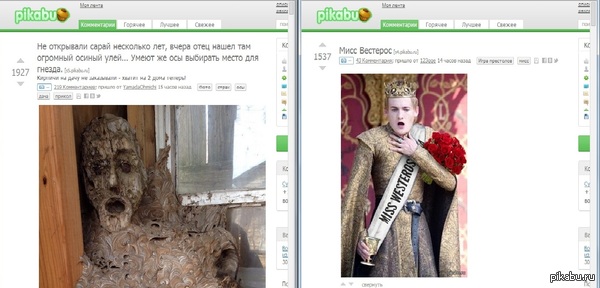 ����-�� ��� ���� ���� ����������)