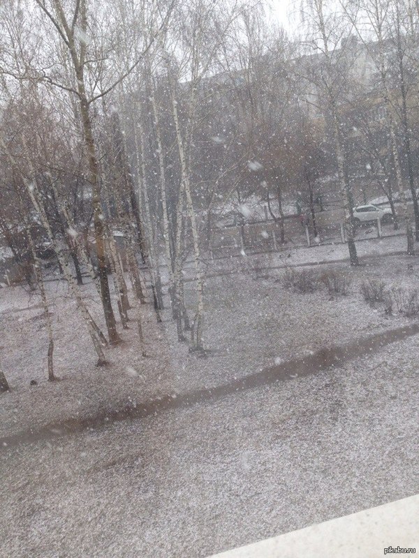 ��� �������� 24 ������ � ���)