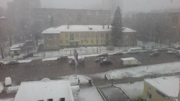 24 ������. ���