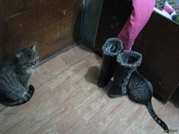 ����������..