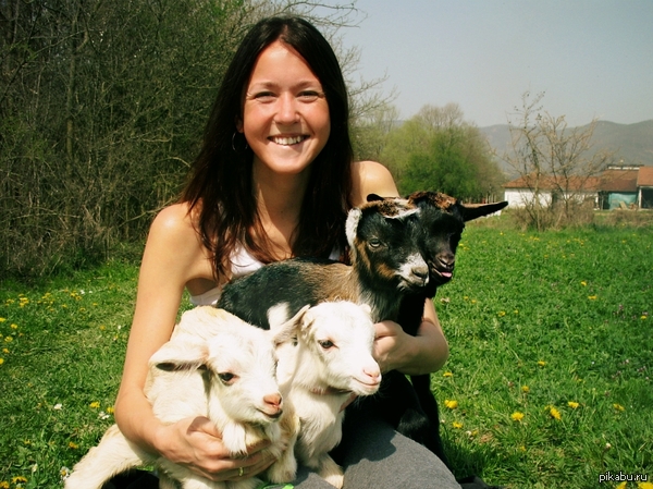 Чем мы хуже котят?