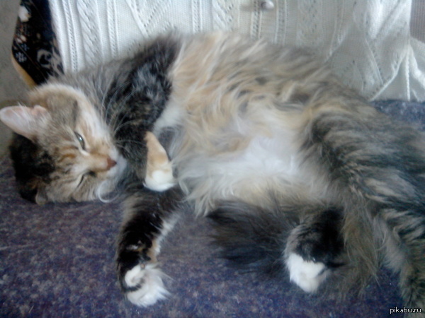 Моей старушке 15 лет ^_^