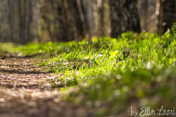 Поддержим тег "Моё"