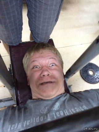 ������ ���� � �������