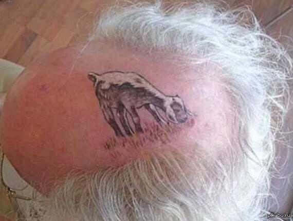 �������� �� ����� � ���������.