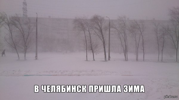 Весна в разгаре