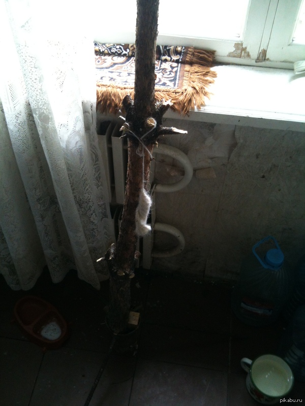 ����� ��� � ������ � ��������� �� ��� ����