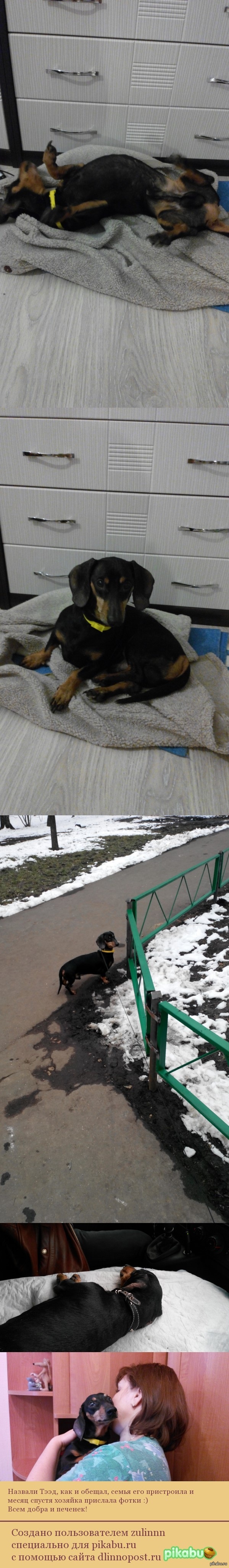 ������ �� ������� ���� http://pikabu.ru/story/_2123163