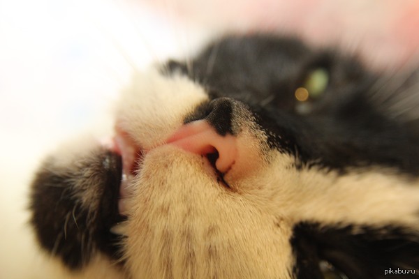 ��� �� ������ � ����������?