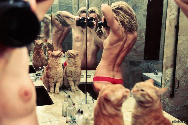 Cat - NSFW, cat, Girls, Boobs, Mirror, The photo, Strawberry