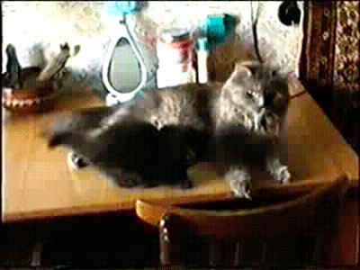 Нет, мам, я уже самостоятельный :) Хочу поделиться старой записью с видеокассеты :) С котёнком всё в порядке, она прожила долгих 18 лет и ушла от нас в прошлом году, была со мной всю мою жизнь :)